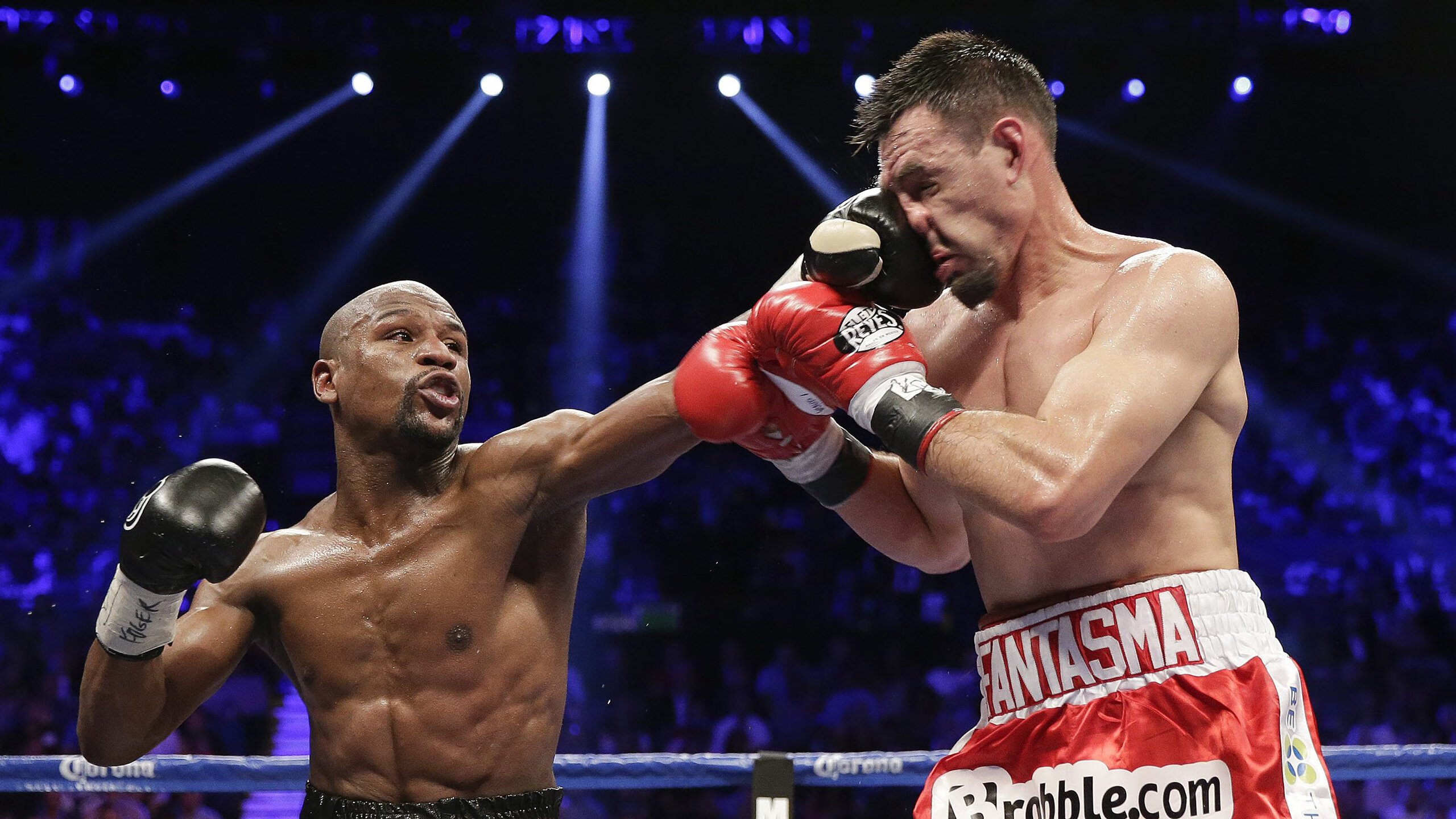 海湾者后防线多次关键解围，海湾怎么解释