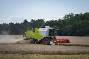九游娱乐官方平台-田径跨项目交流营探索协同训练新方式，田径跨栏的动作讲解
